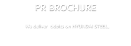 PR Brochure | We deliver  tidbits on HYUNDAI STEEL.